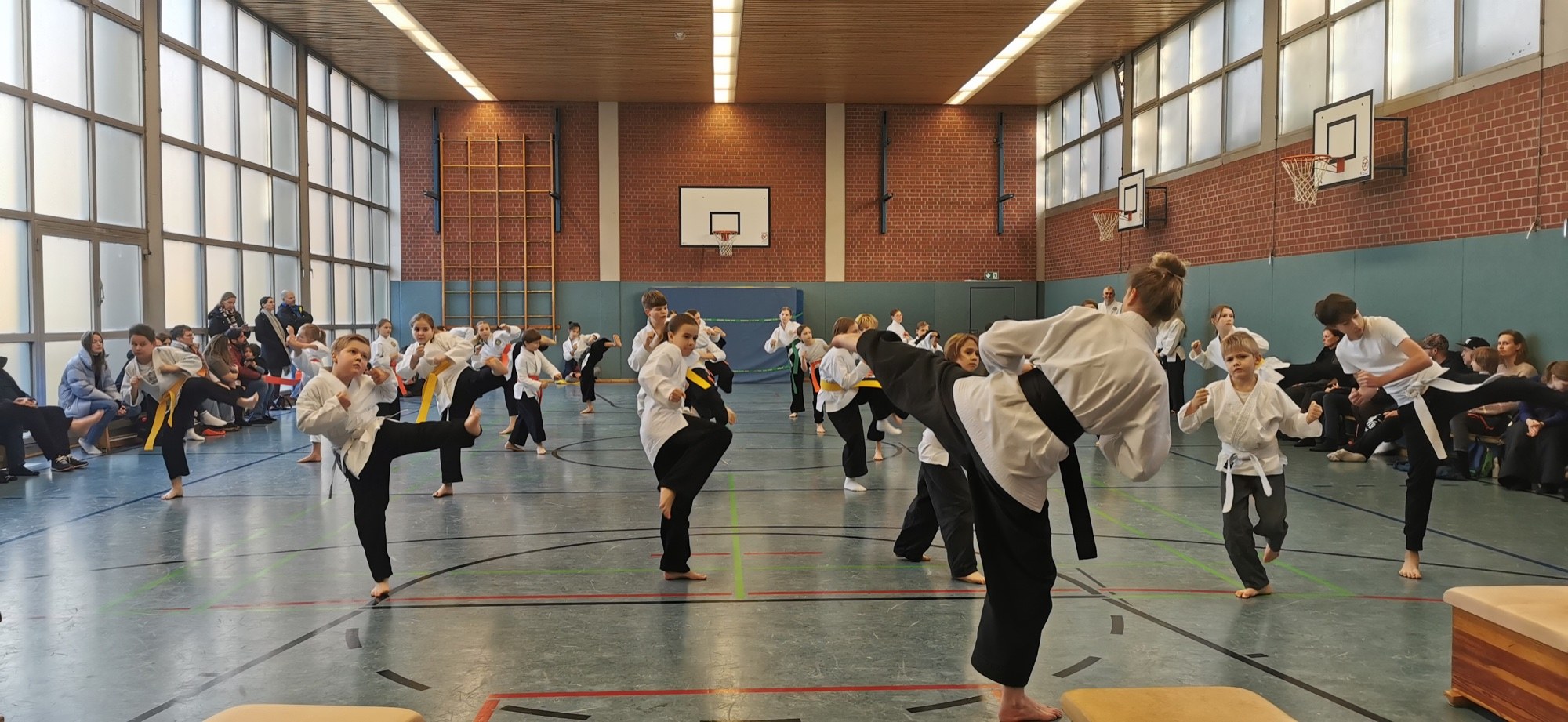 Kampfkunst Training mit klarer Technik