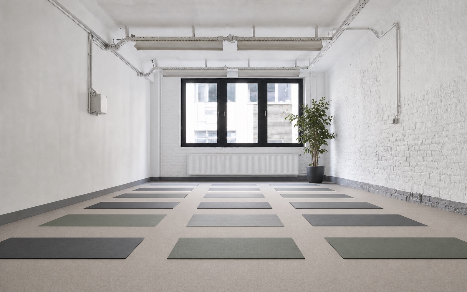 Heller Yogaraum mit weichem Boden, vorbereiteten Matten und Pflanze in Hamburg